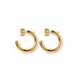 CH Studded Hoops
