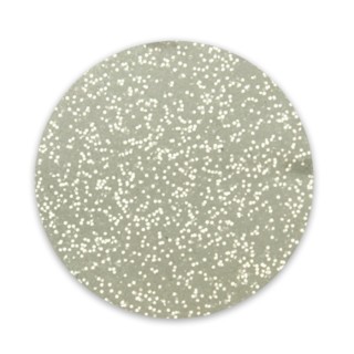 RobyNails Glitter Pure Silver