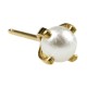 Inverness Øredobber 40C, 24k Prong Pearl 4 mm