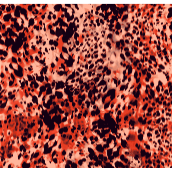Kaffe Cami Top Grenadine Leo Print