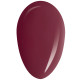 RobyNails 1-Step Bordeaux Flavor 103