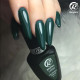 RobyNails 1-Step Colorado Green 117