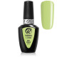 RobyNails 1-Step Mint Green 134