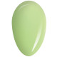 RobyNails 1-Step Mint Green 134