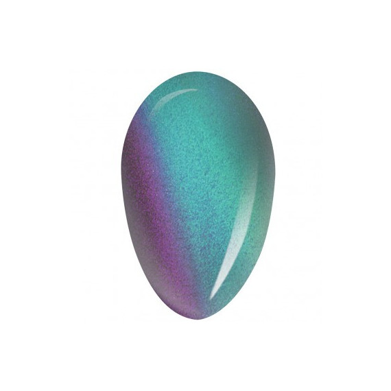 RobyNails Gel Polish 9D Magnet Green 504