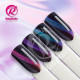 RobyNails Gel Polish 9D Magnet Turquoise 503