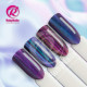 RobyNails Gel Polish 9D Magnet Turquoise 503