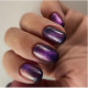 RobyNails Gel Polish 9D Magnet Purple 502