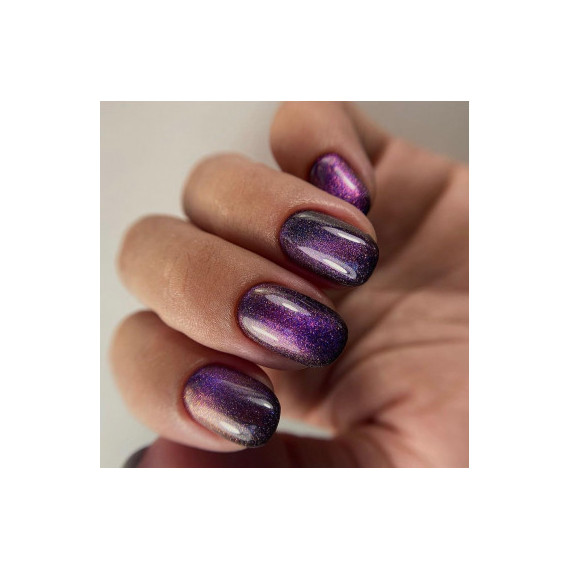 RobyNails Gel Polish 9D Magnet Purple 502