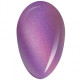 RobyNails Gel Polish 9D Magnet Purple 502