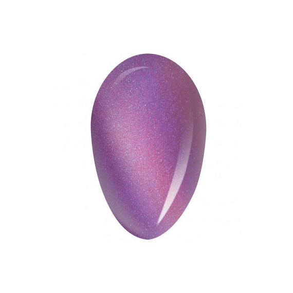 RobyNails Gel Polish 9D Magnet Purple 502