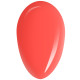 RobyNails Gel Polish Wonder Orange 251
