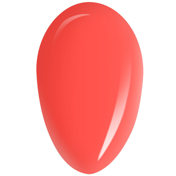 RobyNails Gel Polish Wonder Orange 251