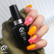RobyNails Gel Polish Matte Top Coat