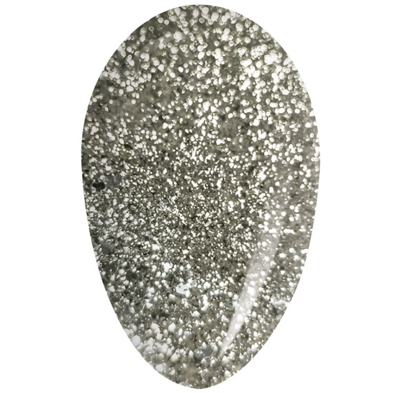 RobyNails Gel Polish Platinum Sparkle 241