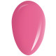 RobyNails Gel Polish Lip Kiss 269