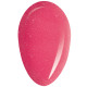 RobyNails Gel Polish Jazzy Rose 174