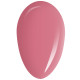 RobyNails Gel Polish Rose Hip 259