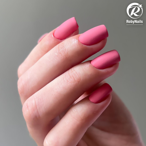 RobyNails Gel Polish Rose Hip 259