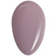 RobyNails Gel Polish Desert Rose 116