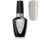 RobyNails Gel Polish Dove Grey 284