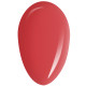RobyNails Gel Polish Fire Red 296