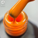RobyNails Gel Polish Popsy Tangelo 294