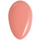 RobyNails Gel Polish Peach Fuzz 288