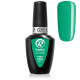 RobyNails Gel Polish Funky Green 217