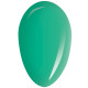 RobyNails Gel Polish Funky Green 217
