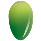 RobyNails Gel Polish Thermo Green 402