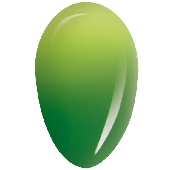 RobyNails Gel Polish Thermo Green 402