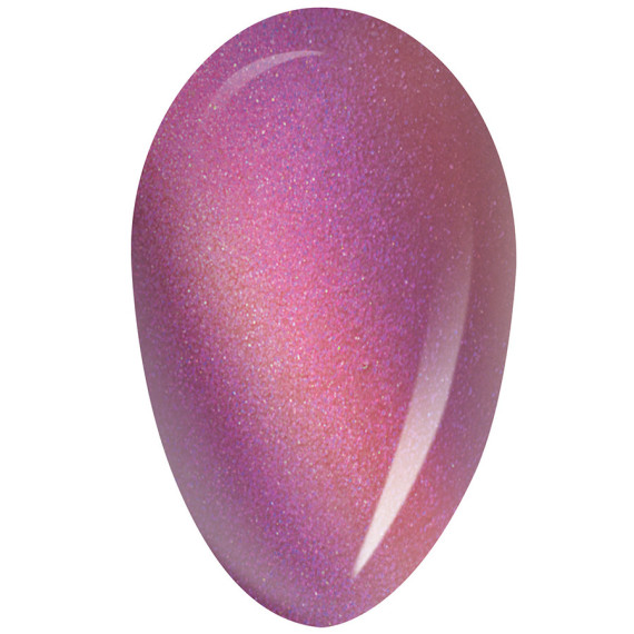 RobyNails Gel Polish 9D Magnet Fuchsia 501