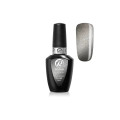 RobyNails Gel Polish Light Magnet Silver 523