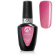 RobyNails Gel Polish Light Magnet Pink 521