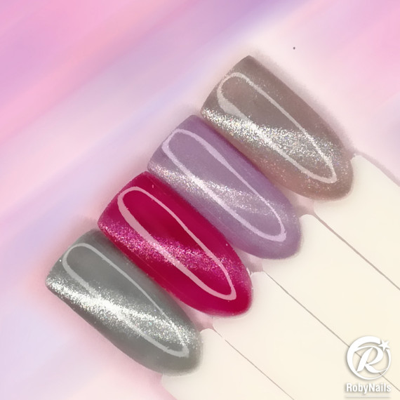 RobyNails Gel Polish Light Magnet Pink 521