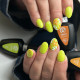 RobyNails Gel Polish Love Bird 292