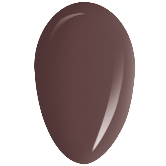 RobyNails Gel Polish Teddy Brown 228