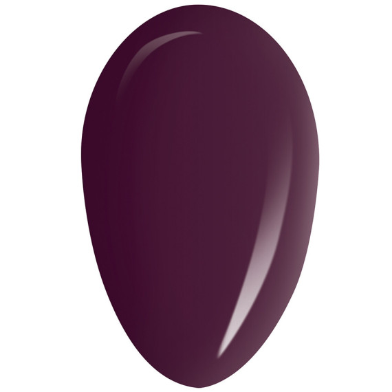 RobyNails Gel Polish Dark Wine 239