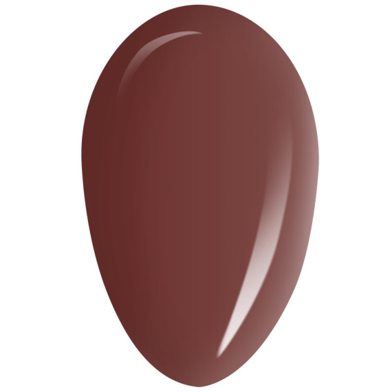 RobyNails Gel Polish Choco Brown 260