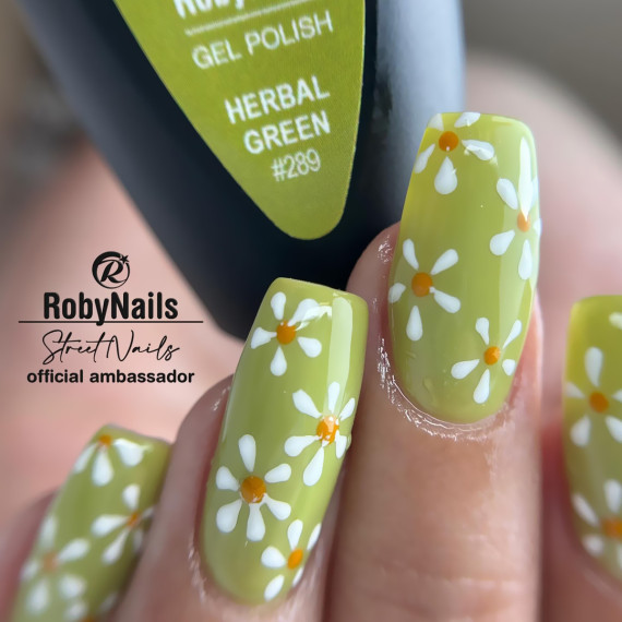 RobyNails Gel Polish Herbal Green 289
