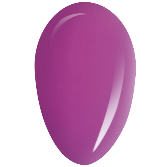 RobyNails Gel Polish Fashion Orchid 114