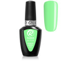 RobyNails Gel Polish Wonder Green 255