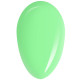RobyNails Gel Polish Wonder Green 255