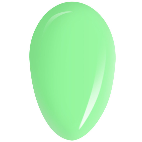 RobyNails Gel Polish Wonder Green 255