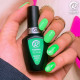 RobyNails Gel Polish Wonder Green 255