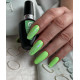 RobyNails Gel Polish Wonder Green 255