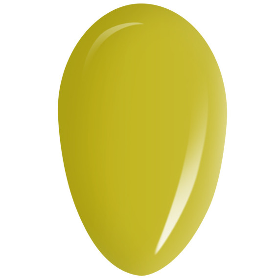 RobyNails Gel Polish Lime Punch 271