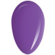 RobyNails Gel Polish Hypmotic Violet 236