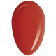RobyNails Gel Polish Candy Red 231